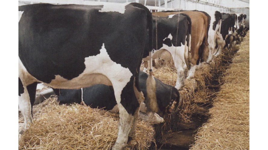 maxagroru_20151201_62_1